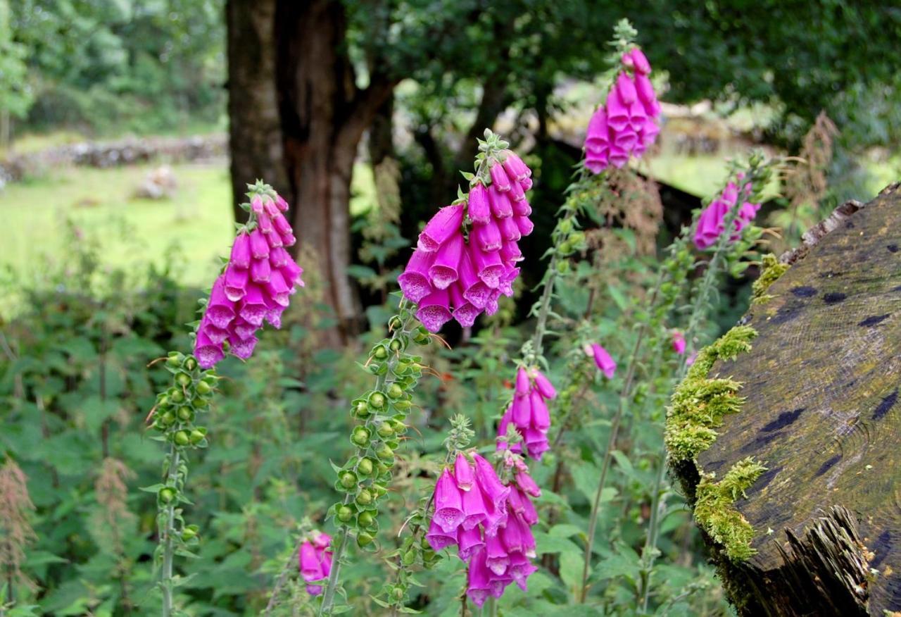 Holiday home Corriebrack Hollywood (Wicklow)